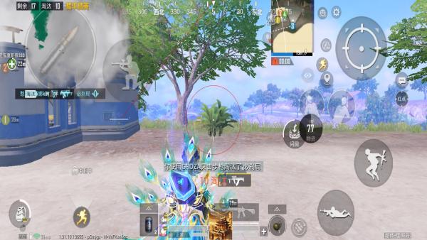 和平精英辅助【COCO】